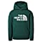 The North Face YOUTH DREW PEAK HOODIE, Night Green