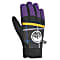 Picture M HUDSONS GLOVES (PREVIOUS MODEL), Purple