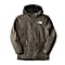 The North Face YOUTH SNOWQUEST JACKET, New Taupe Green - Kollektion 2022