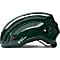Sweet Protection OUTRIDER HELMET, Gloss Forest Green