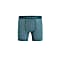 Icebreaker M ANATOMICA BOXERS, Green Glory - Astral Blue - S